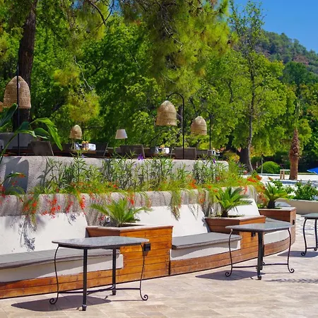 فندق The Bay Club